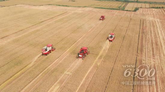 走进德州乐陵“无人农场” 看潍柴雷沃智能农机谱写智慧农业新篇章(图1)