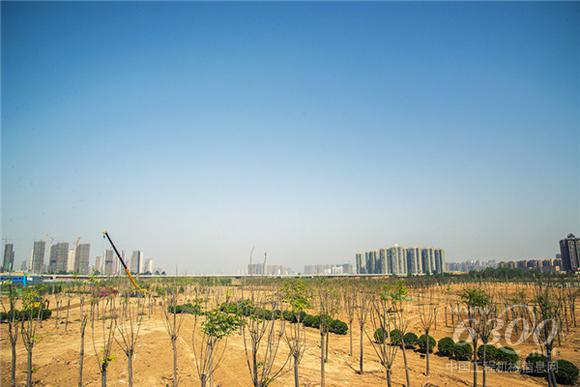郑州探寻首批<a href=http://product.d1cm.com/brand/xcmg/ target=_blank>徐工</a>G一代车主（四）