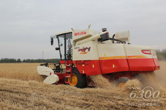 装有雷沃动力国三发动机的雷沃谷神收割机正在作业