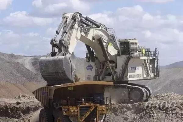 Liebherr（<a href=http://product.d1cm.com/brand/liebherr/ target=_blank>利勃海尔</a>）R9800