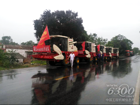 图片新闻：清一色雷沃谷神的陕西扶风县曙光跨区作业队冒雨出征181.png