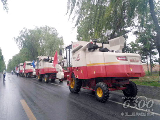 图片新闻：清一色雷沃谷神的陕西扶风县曙光跨区作业队冒雨出征182.png