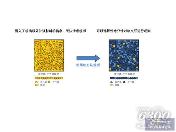 苯乙烯-丁二烯橡胶（SBR）中硫交联的疏密度观察图像 （终版使用）_副本.png