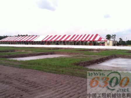 凯斯