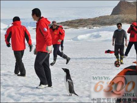 企鹅与足球