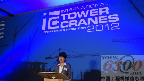 国际塔机峰会