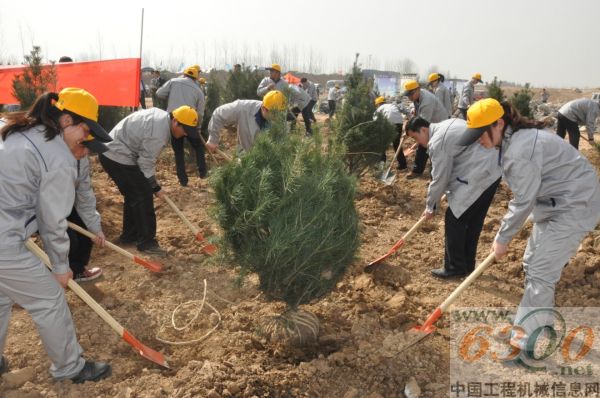 临工,公益,植树
